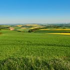 8 Uhr 30, ca. 18 km vor meiner Haustür, die Morgensonne liegt über der Nord-Pfalz, 