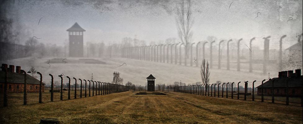 ******    80 Jahre    ***** 