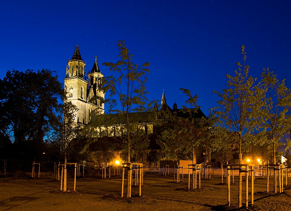 800 Jahre Magdeburger Dom