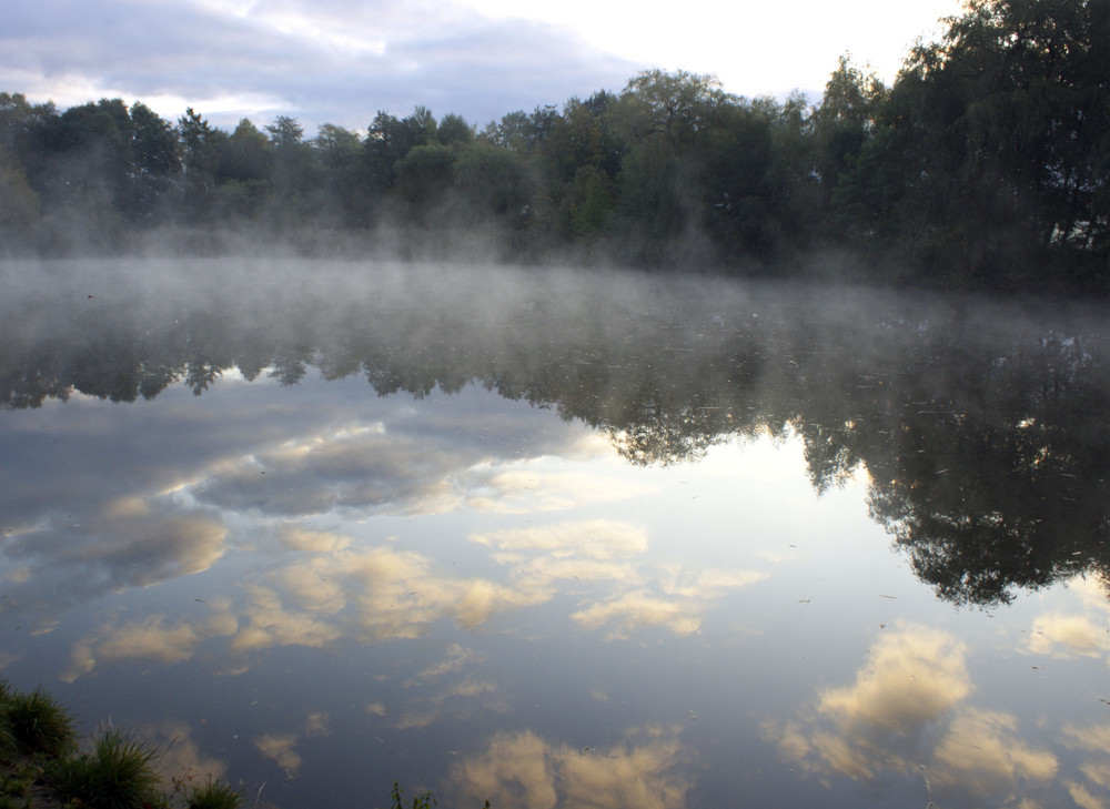 8.00 Uhr morgens am Teich