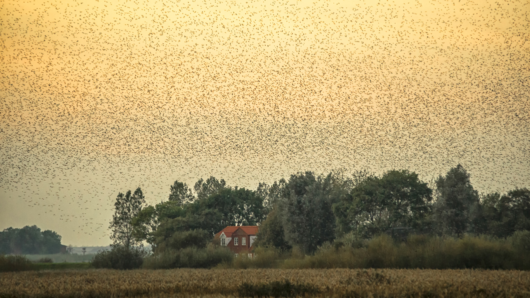 800.000 Stare am Himmel