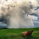 Wolkenbruch mit Regenbogen