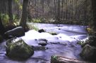 Saußbach bei Freyung by Andreas Bothe 