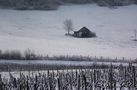 CAMPAGNE JURASSIENNE ENNEIGEE de BUBUL