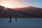 Namibia - Deadvlei by claude_castor