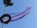 Maibaum in Werste von Tuennes (Günter)