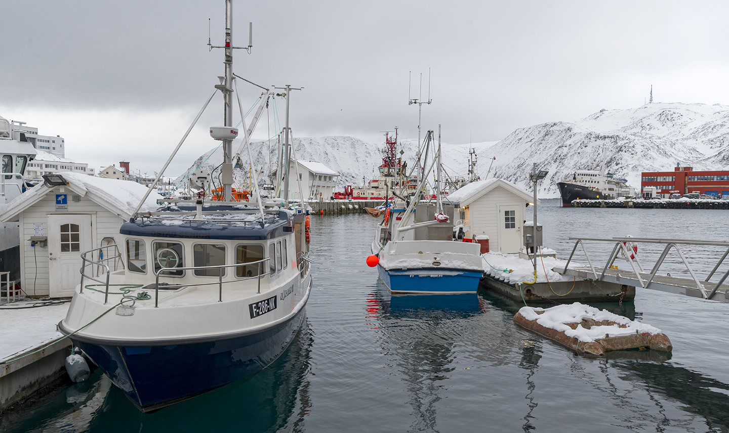 8215R MS Lofoten im Hafen von Honningsvag Norwegen Hurtigruten