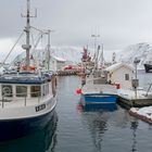 8215R MS Lofoten im Hafen von Honningsvag Norwegen Hurtigruten