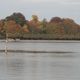 Herbst am Bodensee