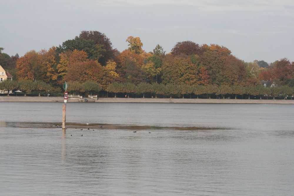 Herbst am Bodensee von moma120