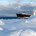 8276R Hurtigruten MS Lofoten in Eis und Schnee Nähe Nordkapp Kirkenes Norwegen