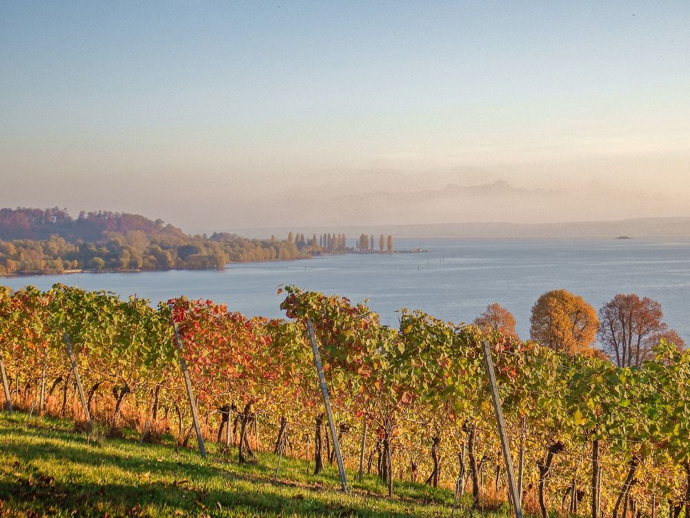 Herbst am Bodensee von Marianne Kaindl