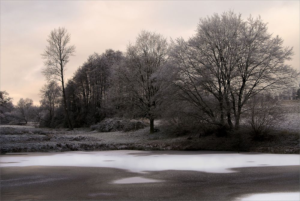 Winter am Teich von Jens Demuth