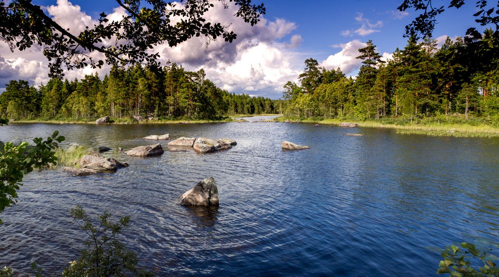 See im Glaskogen Naturreservat von Elke Baumberger