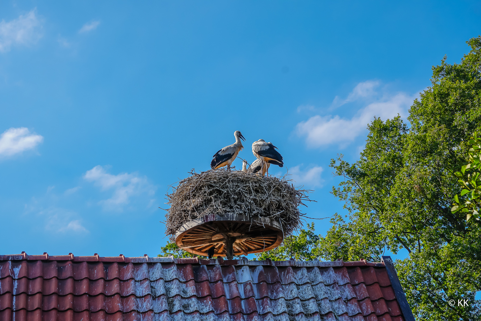 83 Wohnstube Familie Storch