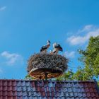 83 Wohnstube Familie Storch