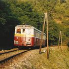 830 224 auf der Strecke Moravske Branice-Oslavany