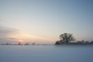 Bodennebel im Winter von BernhardKastner