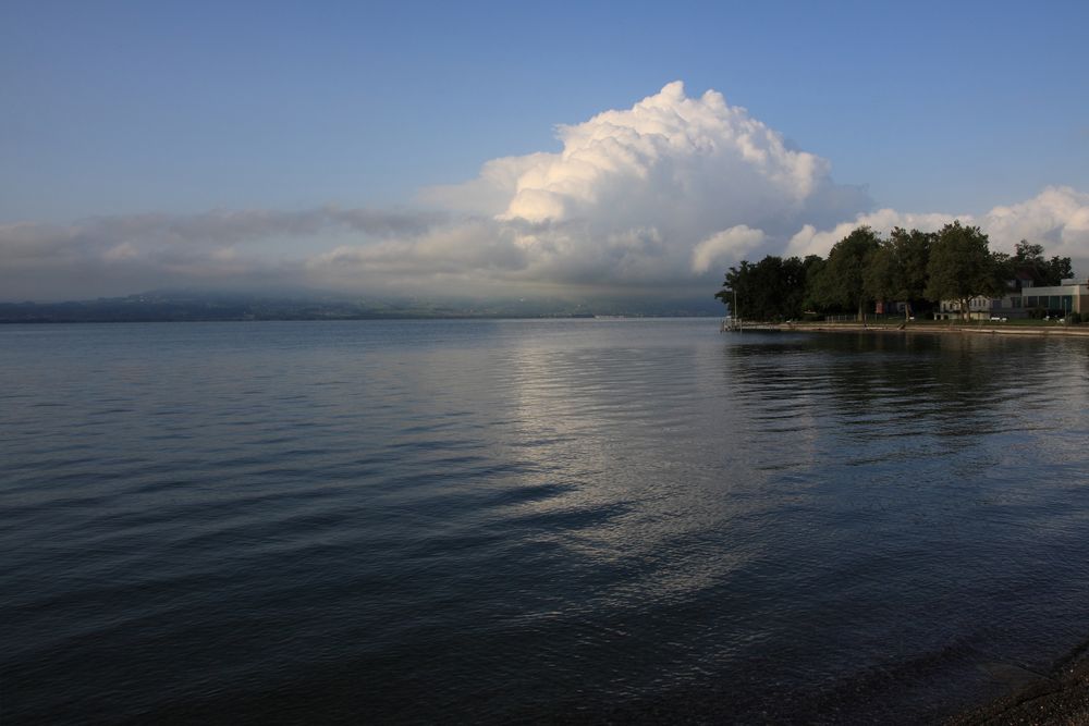 Bodensee von Kristin Loos