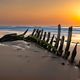 le bois des sables