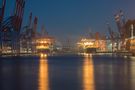 Containerriesen im Hamburger Hafen von Strandgutsuche