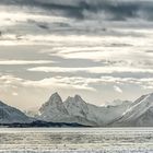 8487R-88R Panorama Hurtigruten Norwegen Winter