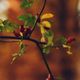 Herbst in Brandenburg