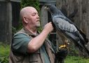 Blaubussard von Ralph Gauer