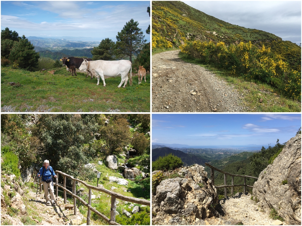 8.5. Wanderung "Fascht wie dehei"