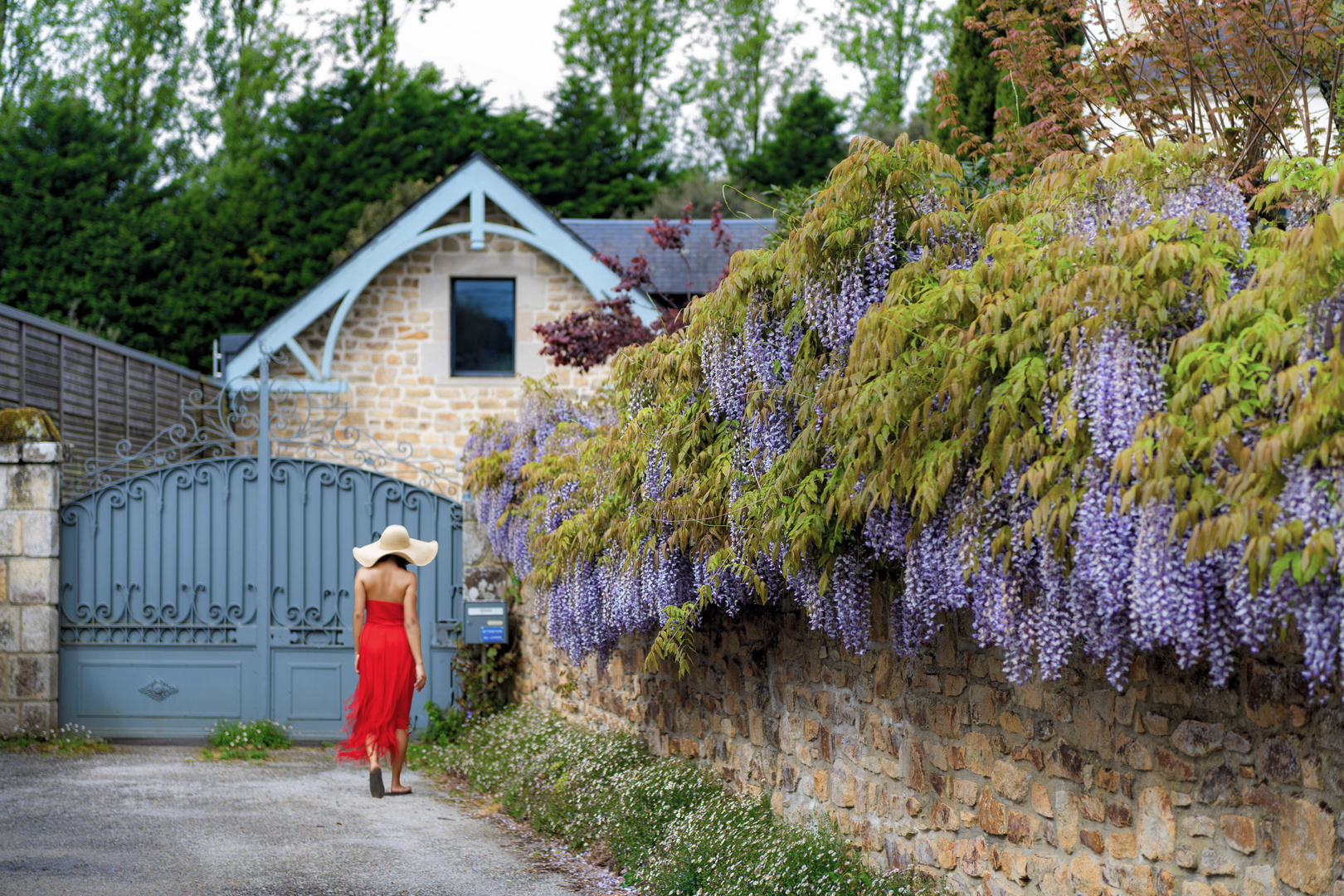 _8502994 - Glycine