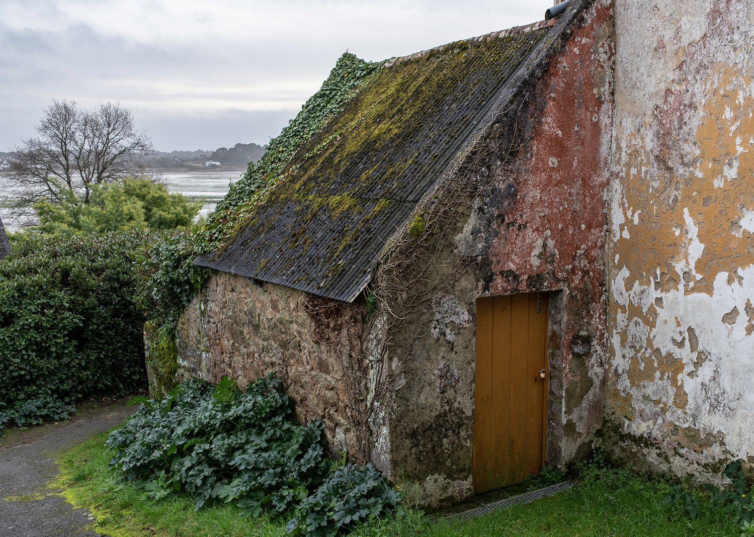 _8505353 - Le passage du temps