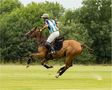 Bremer Polo Cup von Rainer Willenbrock