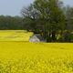 la petite maison dans la prairie