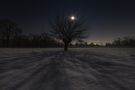 moon light shadows di Alessandro Bergamin