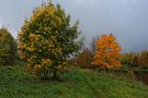 Herbstliche Motiv 2 von Valerij Rein