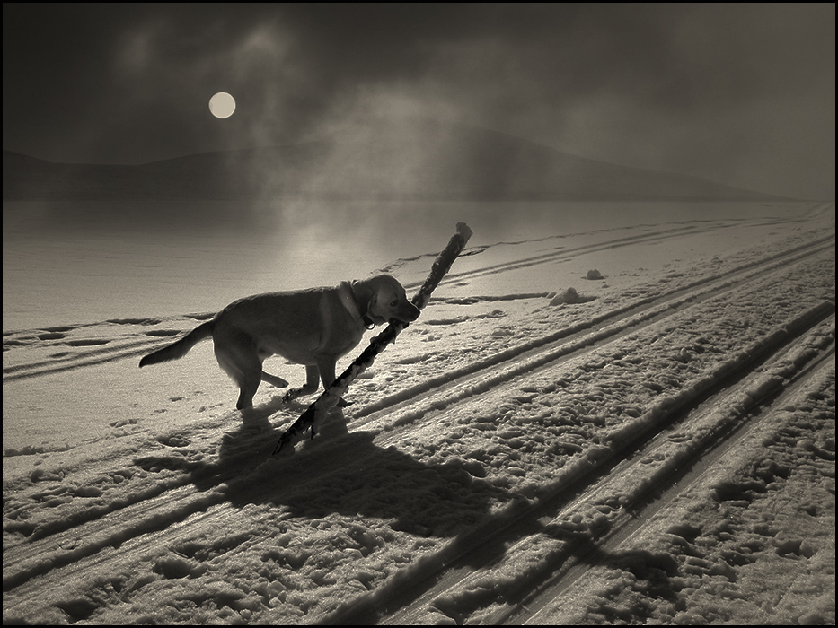 Stockeinsatz by Veronika Pinke 