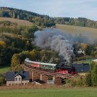 86 1333-3 auf der "Schwimmbadbrücke" in Markersbach