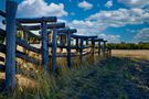 Sheep Loading Ramps by hgphpotography