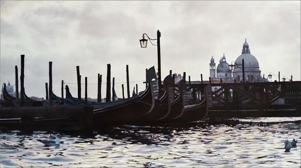 86_A22 __SURVIVING VENICE__