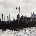 86_A22 __SURVIVING VENICE__