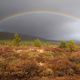 Regenbogen in Norwegen