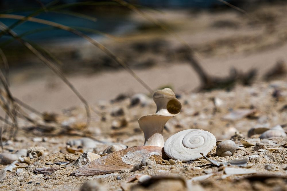 Strandgut von Andrea und Markus Feicht