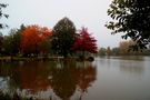 le lac en automne de Catherine GAIGNON