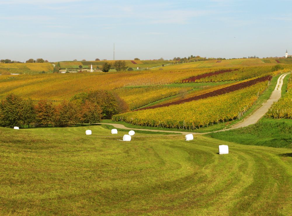 Fremdkörper in der Herbstlandschaft von Delvendahl