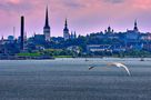 Sky Line de Tallin de Pedro Szendro