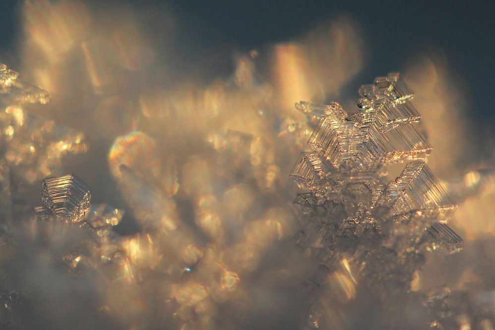 ... Eiskristall im Schnee ... von Stephanie Olitzsch 