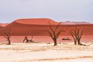 Schönheit der Wüste von Manfred Schwarck