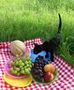 Pic-nic von Minnie87 