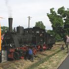 89 6009 in Rothenburg