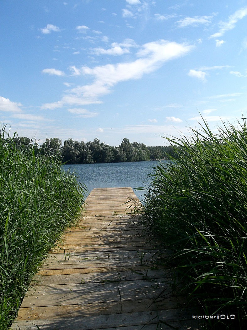 (89) steg zum see